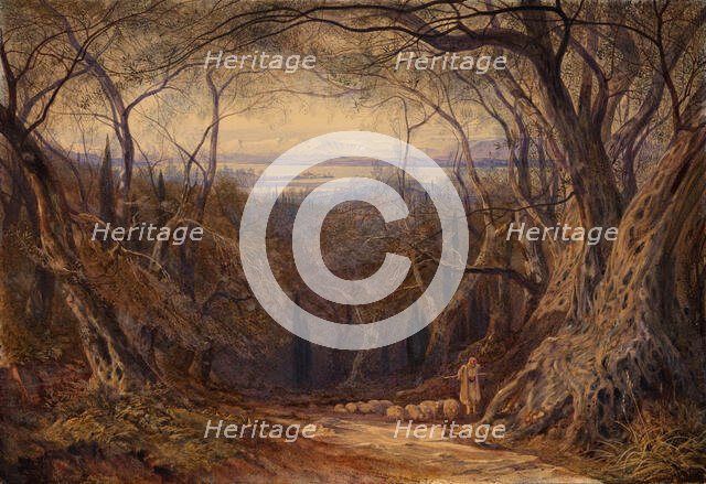 Corfu, 1871. Creator: Edward Lear.