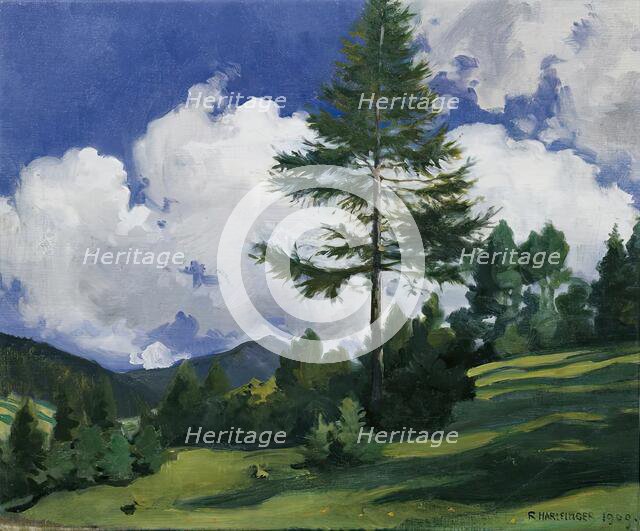 Motif near Toblach, 1909. Creator: Richard Harlfinger.