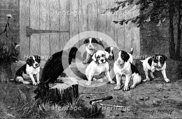 Quoth The Raven: "Never More!", 1890.  Creator: John Greenaway.