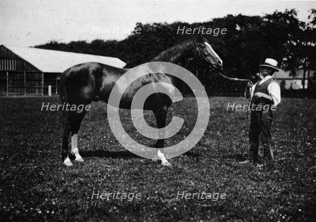 'Victor Wild', 1911. Artist: Unknown.