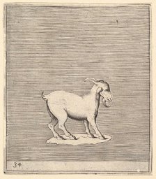 Ram, published ca. 1599-1622. Creator: Unknown.