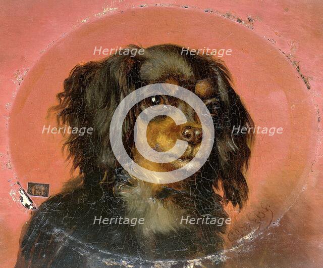 Portrait of a Puppy, 1850-1891. Creator: Guillaume Anne van der Brugghen.