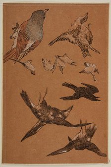 Love leading the Pilgrim - Study of Birds, Crows, Kingfishers, and Sparrows, 1877-97. Creator: Sir Edward Coley Burne-Jones.