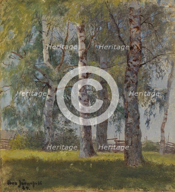 Birches, 1884. Creator: Eero Jarnefelt.