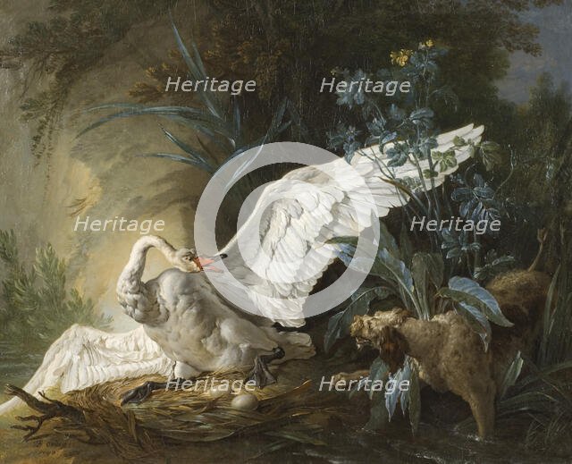 Water Spaniel Surprising a Swan on its Nest, 1740. Creator: Jean-Baptiste Oudry.