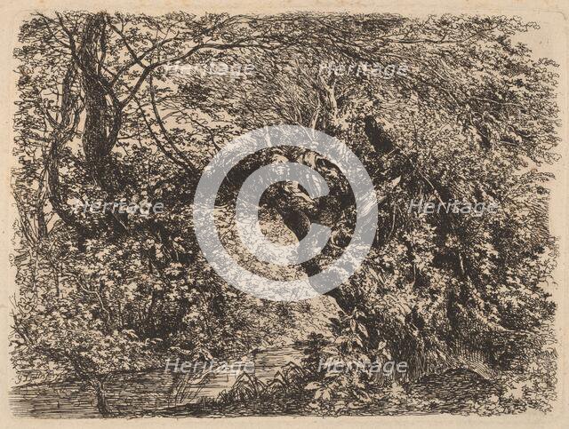 An Old Willow by a Stream, 1793. Creator: Johann Georg von Dillis.