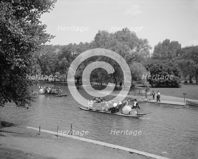 Swan boats, Public Gardens, Boston, Mass., between 1900 and 1906. Creator: Unknown.