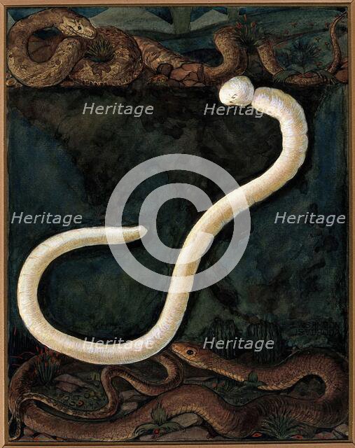 Parasites: a parasitical worm, shown much enlarged, with its hosts, c1930. Creator: J Svoboda.