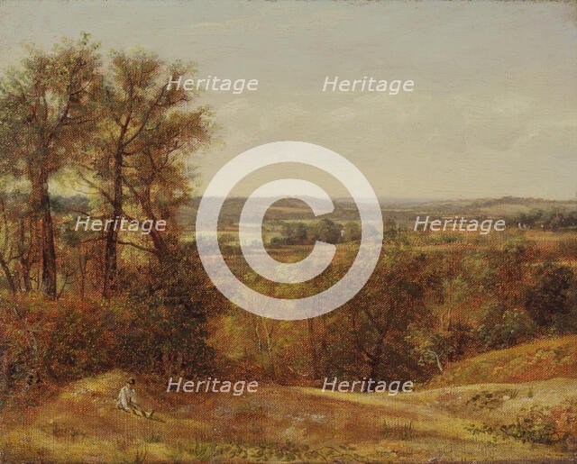 Dedham Vale, 1802. Creator: John Constable.