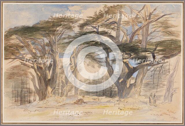 The Cedars of Lebanon, 1858. Creator: Edward Lear.