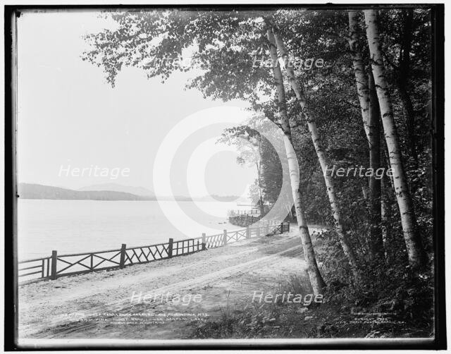 Pine Hurst Road, Lower Saranac Lake, Adirondack Mts., c1902. Creator: William H. Jackson.