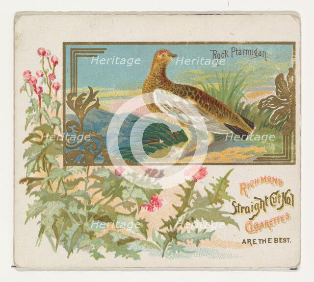 Rock Ptarmigan, from the Game Birds series (N40) for Allen & Ginter Cigarettes, 1888-90. Creator: Allen & Ginter.