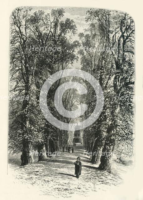 'Trinity College Avenue, Cambridge', c1870.