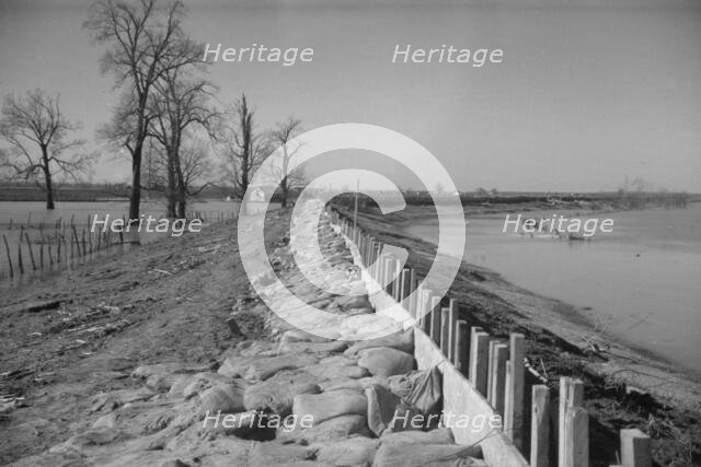 The Bessis Levee, along a subsidiary of the Mississippi River, near Tiptonville, Tennessee, 1937. Creator: Walker Evans.