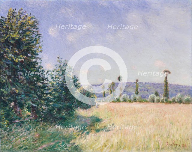 Sahurs Meadows in Morning Sun, 1894. Creator: Alfred Sisley.