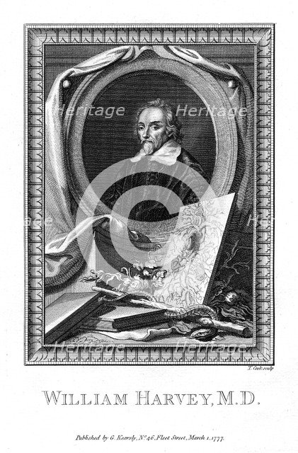 William Harvey, medical doctor, 1777.Artist: T Cook