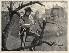 Spring Farm Work - Grafting, 1870. Creator: Winslow Homer (American, 1836-1910).