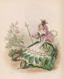 Les Fleurs Animées, 1867. Creator: Charles-Michel Geoffroy.
