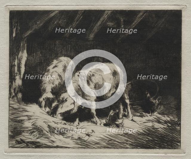 Two Porcs. Creator: Charles-Émile Jacque (French, 1813-1894).