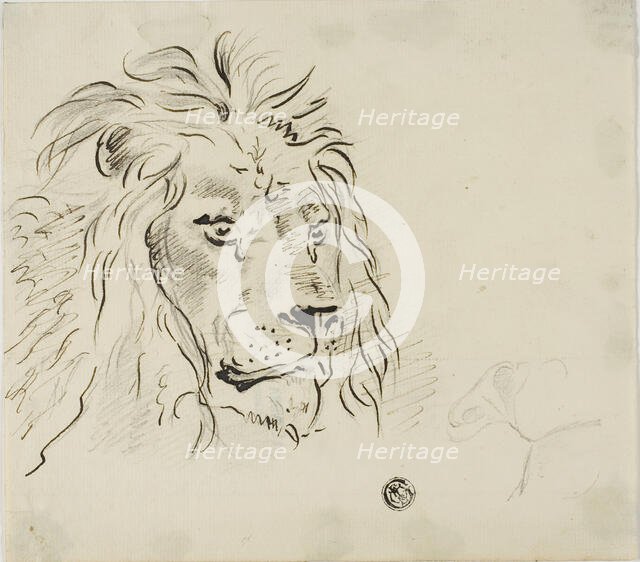 Lion's Head, n.d. Creator: Sawrey Gilpin.
