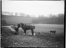 Courthill Farm, Nore Wood Lane, Slindon, Arun, West Sussex, 1908. Creator: Katherine Jean Macfee.
