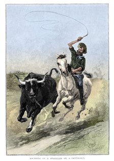 'Rounding Up A Straggler On A Cattle Run', Australia, 1886.  Artist: Frank P Mahony.