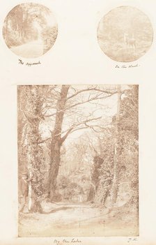 The Approach; In the Wood; By the Lake, 1853-56. Creator: James Knight.