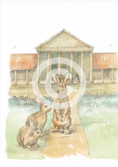 Rabbits in front of Fishbourne Roman Palace, Fishbourne, Chichester, West Sussex, 2019. Creator: Judith Dobie.