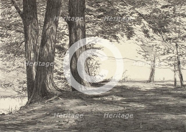 Three Maples, 1920. Creator: Bolton Coit Brown.