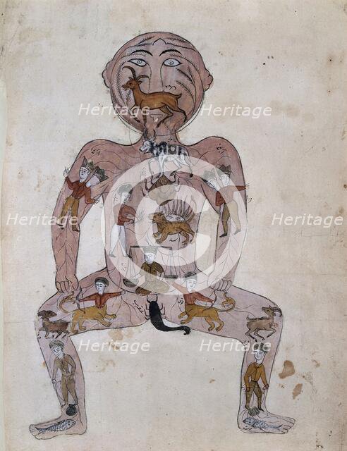 The zodiac man, (between 1800 and 1899?). Creator: Unknown.