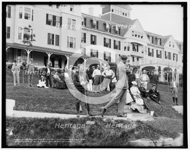 Final round for Stickney Cup, Graham driving, Mount Pleasant golf links, White Mountains, c1890-1901 Creator: Unknown.