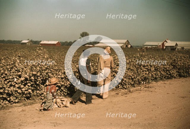 Day laborers picking cotton near Clarksdale, Miss., 1939. Creator: Marion Post Wolcott.