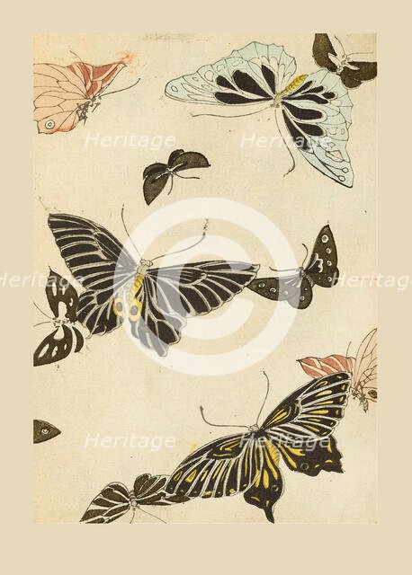 Illustration from "Shin bijutsukai", 1901-1902. Creators: Sekka, Kamisaka (1866-1942), Korin, Furuya (1875-1910)