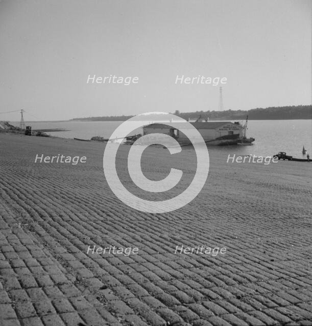 The municipal levee at Greenville, Mississippi, 1937. Creator: Dorothea Lange.