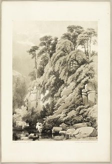 Wych Elm and Firs, from The Park and the Forest, 1841. Creator: James Duffield Harding.