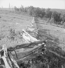 Split-log fence, North central Arkansas, along U.S. 62, 1938. Creator: Dorothea Lange.