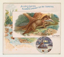 Otter, from Quadrupeds series (N41) for Allen & Ginter Cigarettes, 1890. Creator: Allen & Ginter.