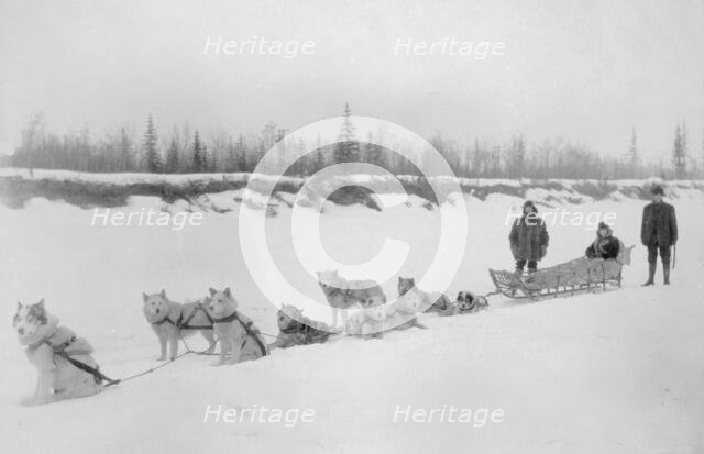 Dog sled team, between c1900 and 1927. Creator: Unknown.