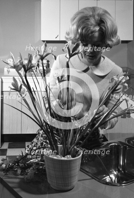 Kitchen scene, Warwick, Warwickshire, 1966. Artist: Michael Walters