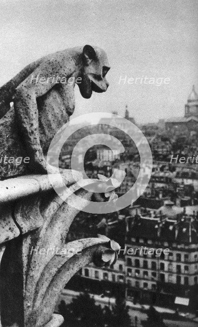 Stone demon, Notre Dame, Paris, France, c1930s. Artist: Donald McLeish