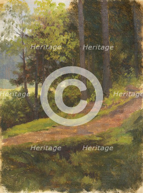 Path on the edge of a forest, 1860-1900. Creator: Jan Nowopacký.