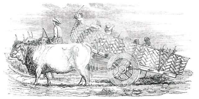 Gujerat Village-Cart, 1850. Creator: Unknown.