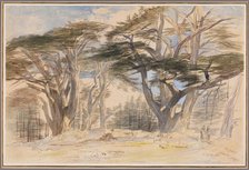 The Cedars of Lebanon, 1858. Creator: Edward Lear.