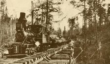 'A Logging Railway, British Coumbia', 1930. Creator: ENA.