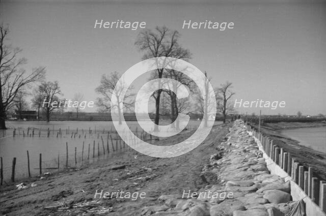 The Bessie Levee augmented with sand bags, near Tiptonville, Tennessee, 1937. Creator: Walker Evans.