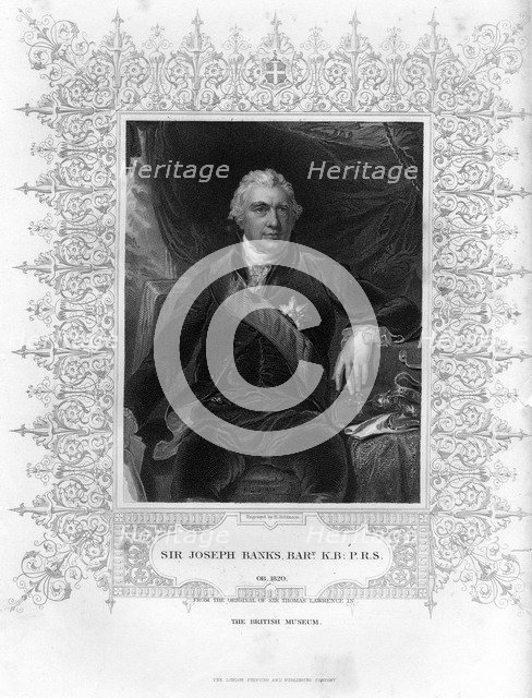 Sir Joseph Banks (1743-1820), English naturalist, botanist and science patron, 19th century.Artist: H Robinson