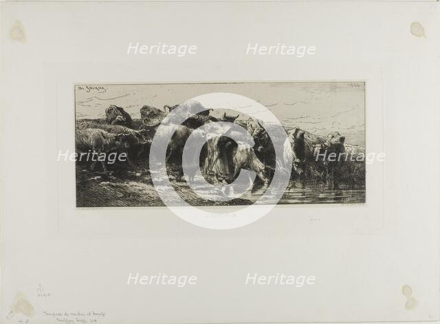 Cows Drinking, 1866. Creator: Charles Emile Jacque.