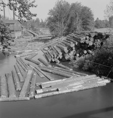 Possibly: Small sawmill on the Marys River near Corvallis, Oregon, 1939. Creator: Dorothea Lange.
