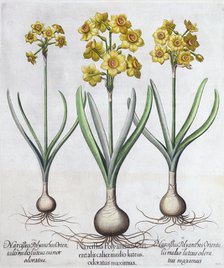 Narcissus, 1613. Artist: Unknown
