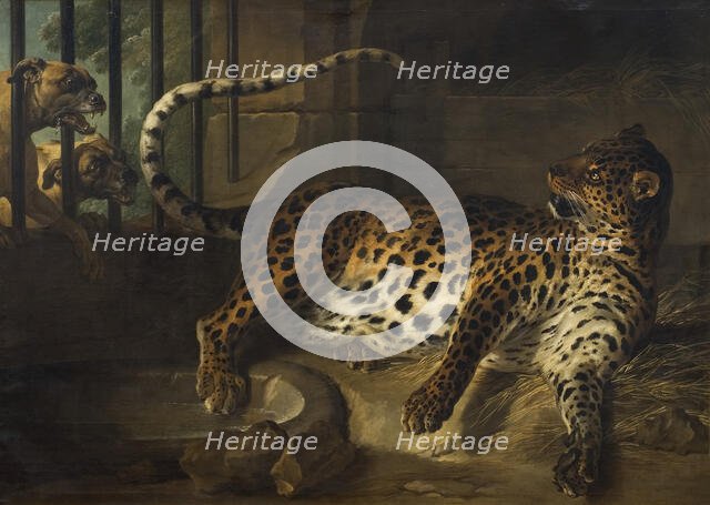 Leopard in a Cage confronted by two Mastiffs, 1739. Creator: Jean-Baptiste Oudry.